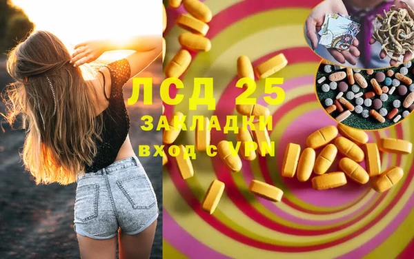 ПСИЛОЦИБИНОВЫЕ ГРИБЫ Арсеньев