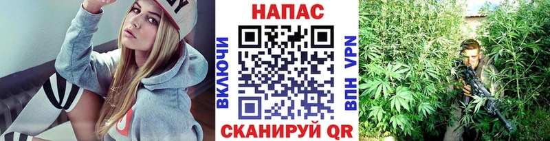 Бошки марихуана Bruce Banner  Пенза 